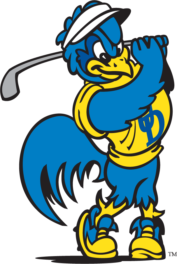 Delaware Blue Hens 1999-2009 Mascot Logo v7 iron on transfers for clothing